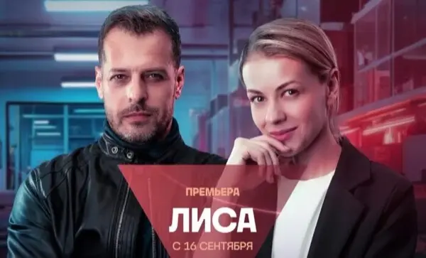 краткое содержание сериала Лиса [S01] (2024)