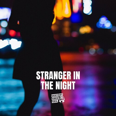 Постер Gestort Aber Geil - Stranger In The Night