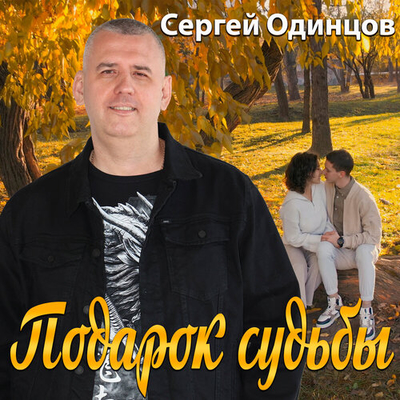 Постер Сергей Одинцов - Подарок судьбы