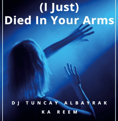 Постер Died In Your Arms