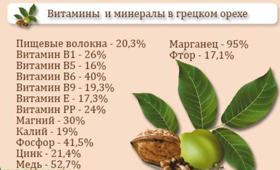 Польза кедровых орехов для потенции у мужчин: факты и возможные противопоказания