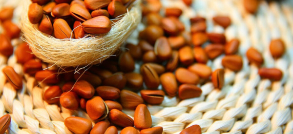 Польза кедровых орехов для потенции у мужчин: факты и возможные противопоказания