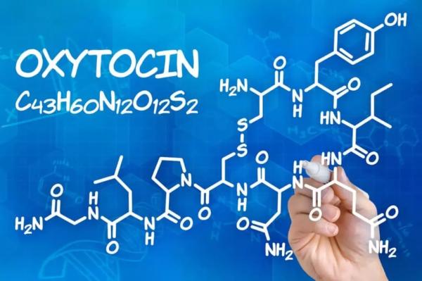 Окситоцин (oxytocin): что это такое, за что отвечает, как повысить его уровень в организме