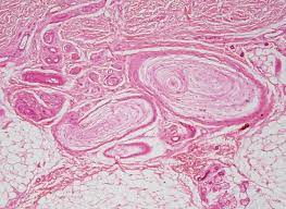 Химический состав спермы: польза и вред для женщин от мужского эякулята