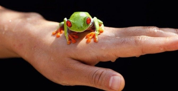 Как избавиться от бородавки на брови: лучшие методы и рекомендации