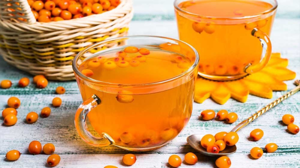 Влияние облепихи на здоровье мужчины: польза ягод и масла, вред и влияние на потенцию