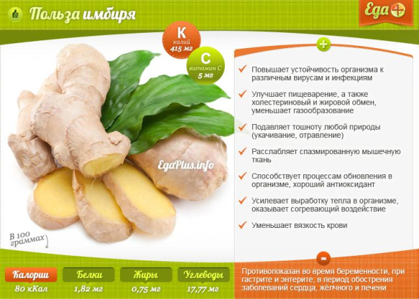 Все полезные свойства имбиря для мужчин и их &laquo;силы&raquo;, противопоказания