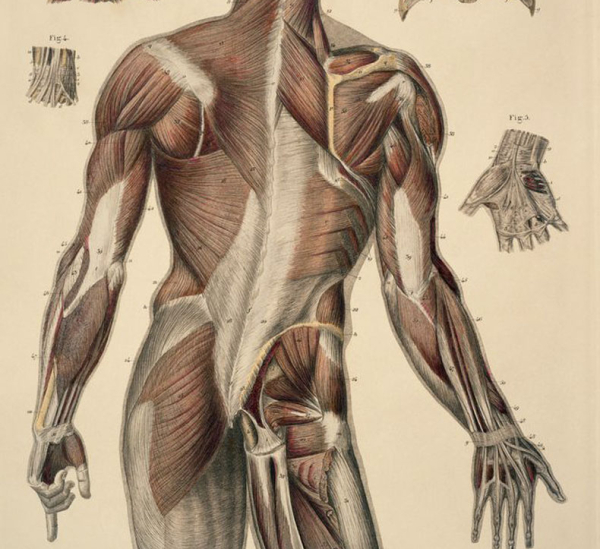 Какие инъекции для потенции считаются самыми эффективными?