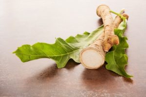 Эффективность использования дубровника для повышения потенции: научные данные и результаты исследований