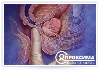 Секрет простаты: что это такое, как и зачем проводят исследование