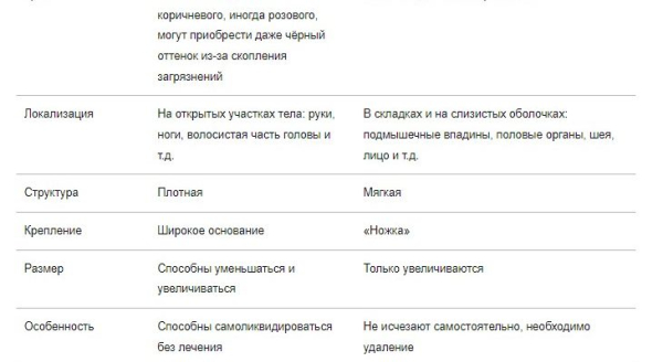 Бородавка и папиллома: основные отличия