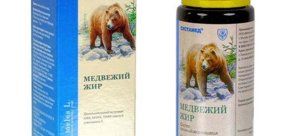 Чем полезен барсучий жир для здоровья мужчины и потенции: 10 моментов