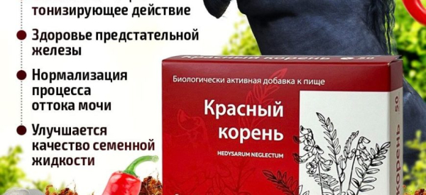 10 свойств, чем полезен красный корень для мужчин, влияние на потенцию