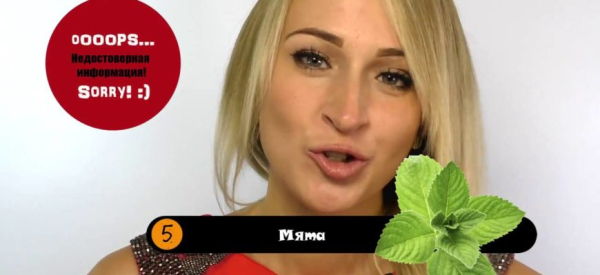 Влияние мяты на мужскую потенцию: снижение или повышение?