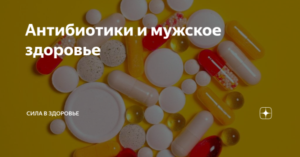 Влияние антибиотиков на потенцию и мужское здоровье