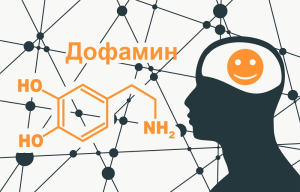 Гормон Дофамин: что такое, где содержится и на что влияет, как повысить уровень в организме