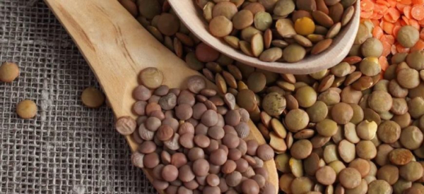 Чечевица для здоровья мужчин &mdash; польза и вред для организма