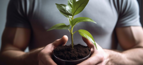 Растения для повышения потенции &mdash; 10 самых эффективных