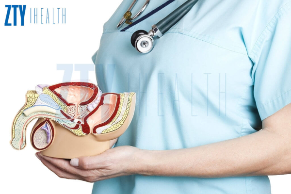 Удлинение пениса &ndash; как мужчине добиться видимого эффекта