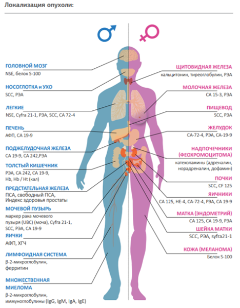 Что такое онкомаркеры и какие бывают