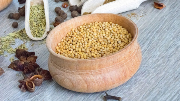 Горчица для мужчин: 10 полезных свойств и 7 противопоказаний, влияние на потенцию