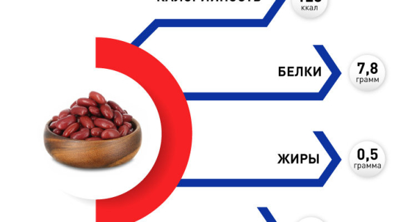 Полезные свойства фасоли для организма и потенции мужчин, противопоказания