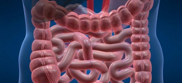 Подготовка к процедуре ирригоскопии кишечника: советы и рекомендации