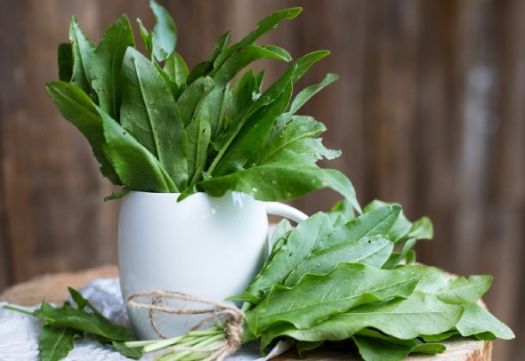 Польза и вред спаржи для организма мужчины: факты и советы