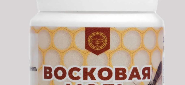 Восковая моль &mdash; уникальное средство для потенции у мужчин