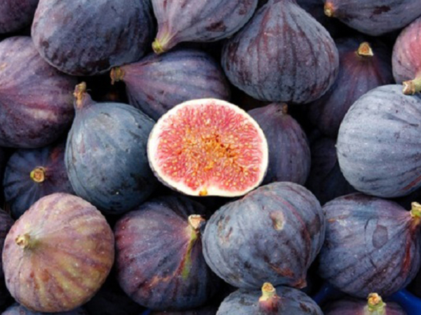 Инжир &ndash; возбуждающий плод для восстановления потенции