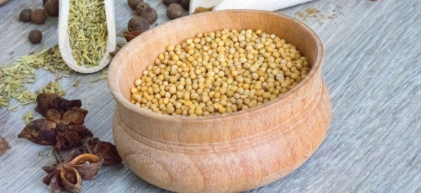 Горчица для мужчин: 10 полезных свойств и 7 противопоказаний, влияние на потенцию