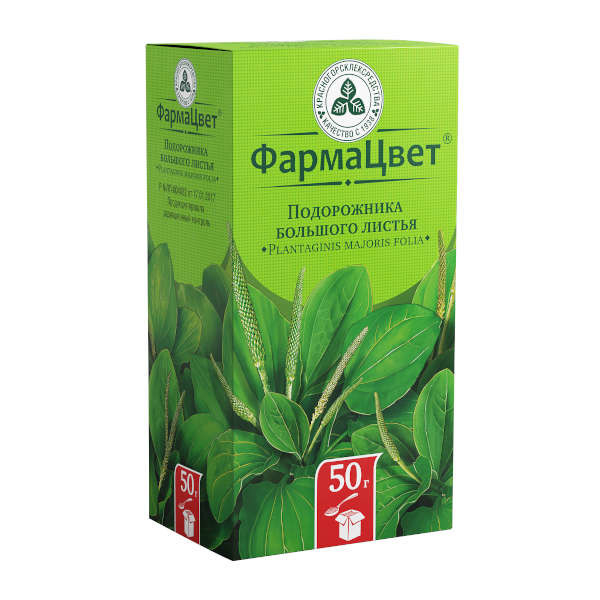 Подорожник &mdash; эффективное средство от мужской импотенции