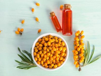 Влияние облепихи на здоровье мужчины: польза ягод и масла, вред и влияние на потенцию