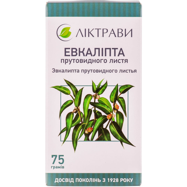 Эффективное лечение дыхательных путей с помощью эвкалиптовых ингаляций