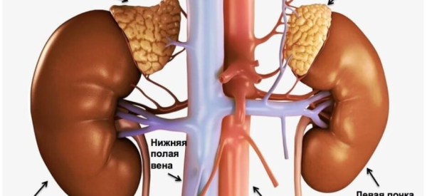 Влияние паровой бани на простатит и аденому простаты у мужчин