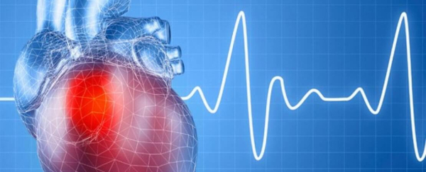 Перебои в сердце: причины, норма и патология, лечение