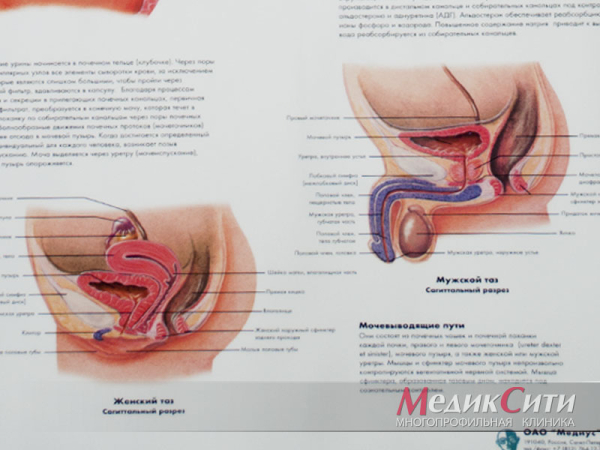 Уретрит у ребенка: чем лечить, симптомы