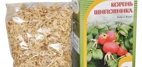 Шиповник &mdash; народное средство для повышения мужской потенции