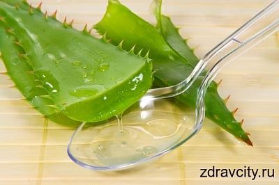 Растительные средства для повышения потенции у мужчин