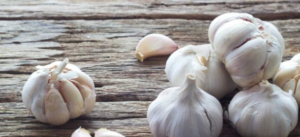 Полезные свойства чеснока для здоровья и потенции мужчин, противопоказания