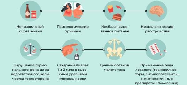 Как пустырник влияет на потенцию и здоровье мужчины