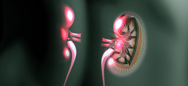 Несахарный диабет: причины, симптомы, диагностика, лечение