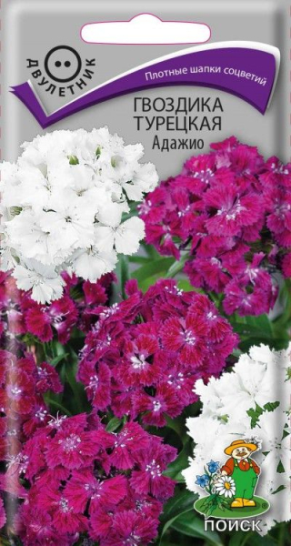 Гвоздика &ndash; мощный растительный ингредиент для поддержания мужской потенции