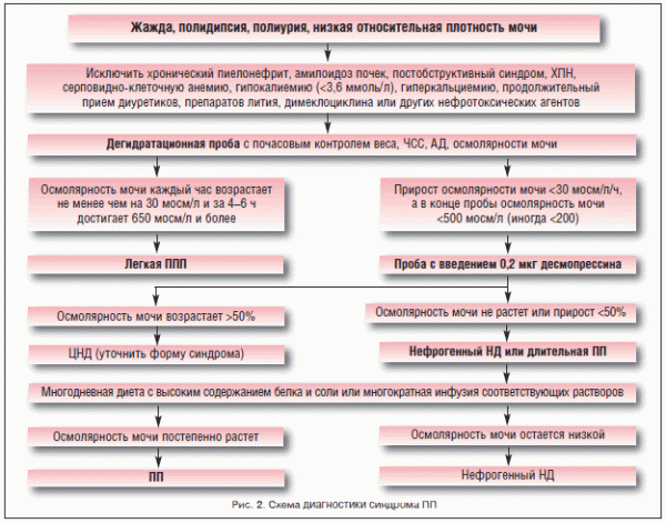 Несахарный диабет: причины, симптомы, диагностика, лечение