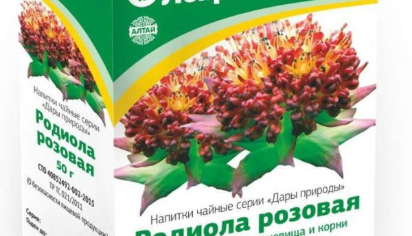 Инструкция по применению родиолы розовой для мужчин от импотенции