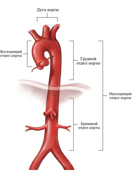 Синдром (болезнь) Такаясу