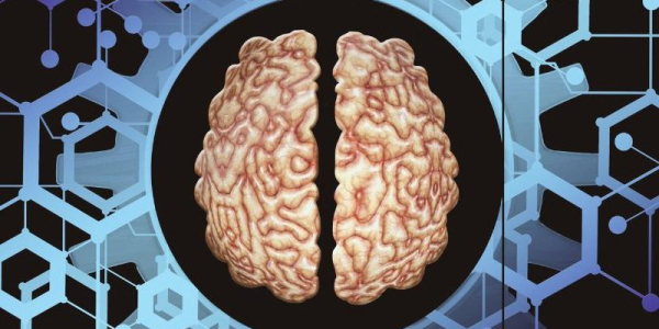 Что такое венозная ангиома головного мозга: причины, лечение, прогноз