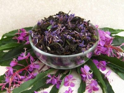 Принимать ли иван-чай при простатите и аденоме простаты и как он помогает?