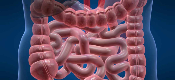 Мезентериальный тромбоз кишечника: что это такое, симптомы, лечение, прогноз