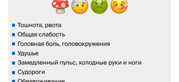 Симптомы и лечение отравления шампиньонами